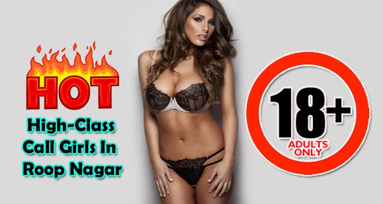 Roop-Nagar-Call-Girls-Service